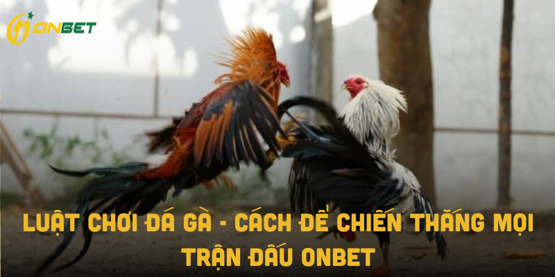 luật chơi đá gà