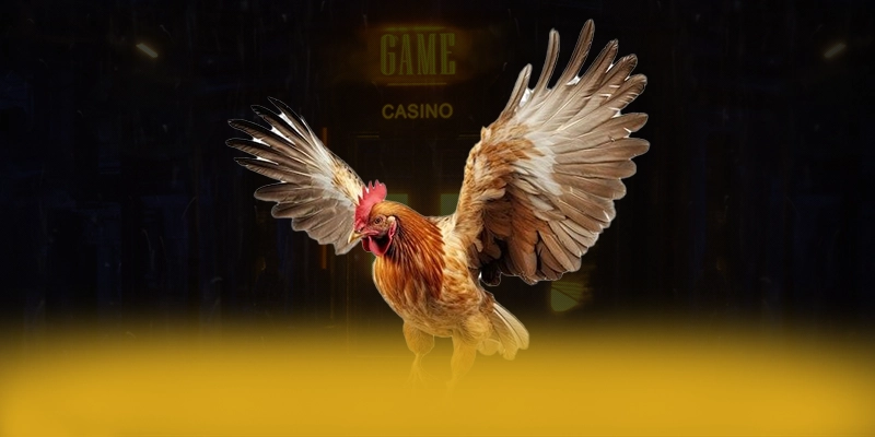 Vb777 - Tổng quan về hệ thống một cách chi tiết. Vb777 - Tổng quan về hệ thống một cách chi tiết.