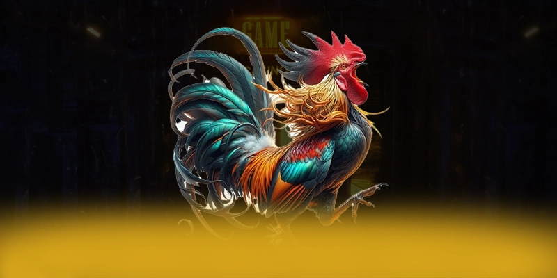 DAGA88 - Tổng kết hành trình phát triển dưới góc nhìn chuyên môn. DAGA88 - Tổng kết hành trình phát triển dưới góc nhìn chuyên môn.