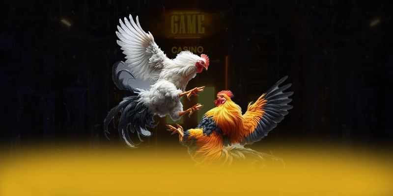 9Bet - Trang game được đánh giá cao về độ tin cậy 2025 – Khám phá ngay 9Bet 9Bet - Trang game được đánh giá cao về độ tin cậy 2025 – Khám phá ngay 9Bet