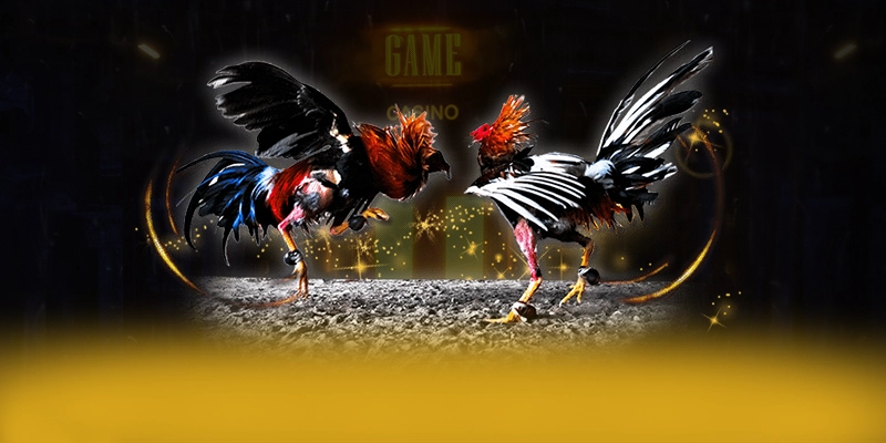 UU88 – Trang game đẳng cấp, được cộng đồng đánh giá tích cực.