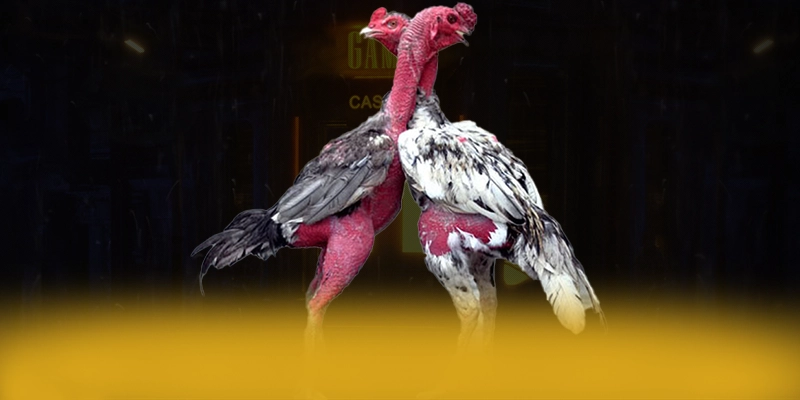 DAGA88 - Trang game với hệ thống bảo mật hiện đại hiện nay – Khám phá cam kết an toàn của DAGA88