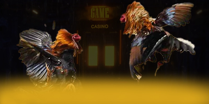 FC88 – Cổng cá cược được nhiều người chơi lựa chọn, được giới cược thủ đánh giá cao.