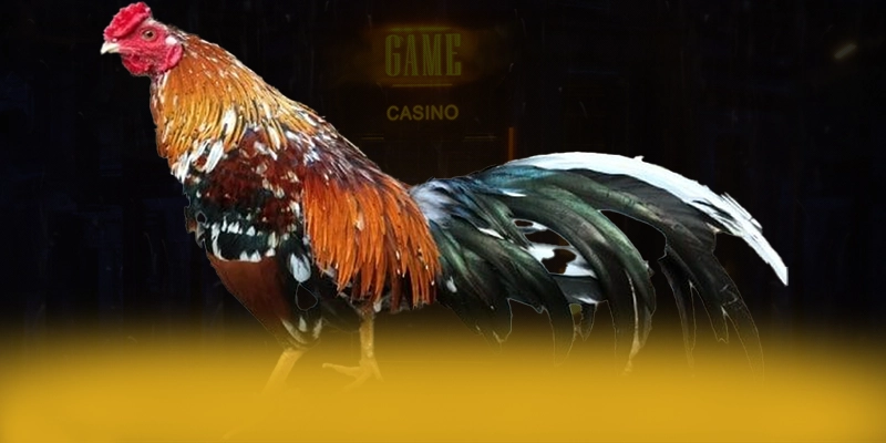 UU88 - Cổng trò chơi có quà tặng đặc biệt được quan tâm nhất – Khám phá chính sách thưởng tại UU88