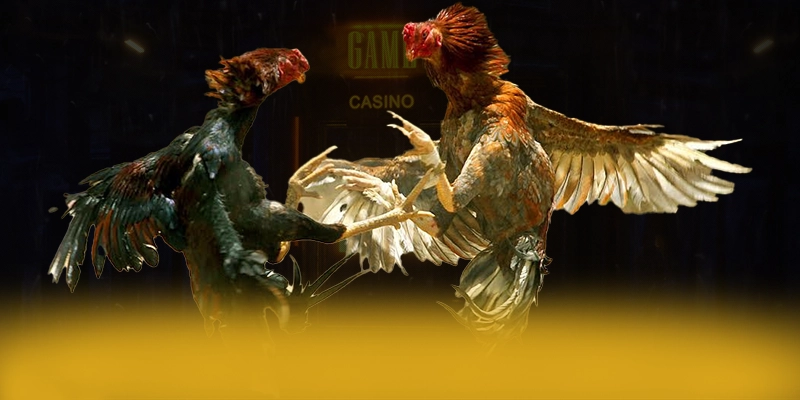 DAGA88 - Trang game phổ biến hàng đầu hiện nay DAGA88 - Trang game phổ biến hàng đầu hiện nay