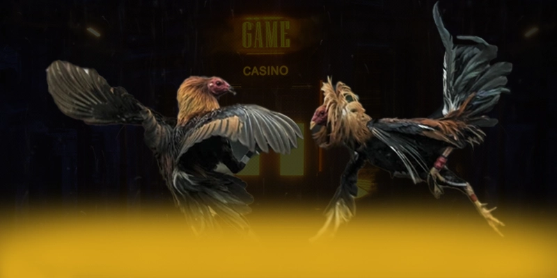 988bet – Cổng cá cược uy tín, được cộng đồng đánh giá tích cực.