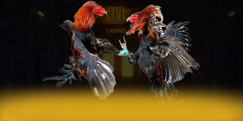 SA88 - Sân chơi quy tụ nhiều siêu phẩm hot 2025 – Tìm hiểu thêm về các sản phẩm của SA88