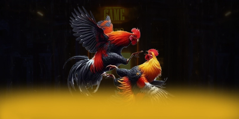 FAFA191 - Thương hiệu game uy tín được đánh giá cao về độ tin cậy hiện nay – Khám phá FAFA191