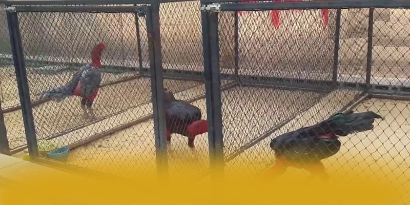 Vinbet - Cổng giải trí với hệ thống bảo mật hiện đại tại Việt Nam – Khám phá cam kết an toàn của Vinbet Vinbet - Cổng giải trí với hệ thống bảo mật hiện đại tại Việt Nam – Khám phá cam kết an toàn của Vinbet