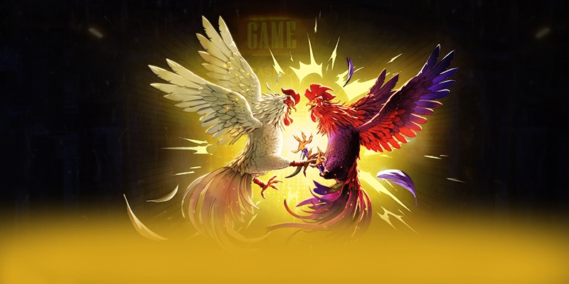 Tìm hiểu CONGA6789 - Sảnh game có thưởng lớn hiện nay
Tìm hiểu CONGA6789 - Sảnh game có thưởng lớn hiện nay