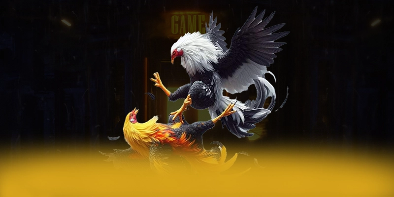 B52 - Sân chơi được game thủ tin tưởng được yêu thích nhất B52 - Sân chơi được game thủ tin tưởng được yêu thích nhất