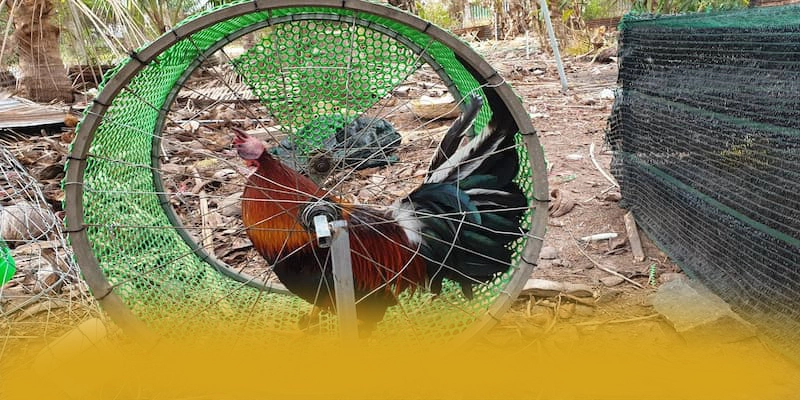 Tìm hiểu KKWIN - Nhà cái an toàn tuyệt đối mới nhất hiện nay
Tìm hiểu KKWIN - Nhà cái an toàn tuyệt đối mới nhất hiện nay