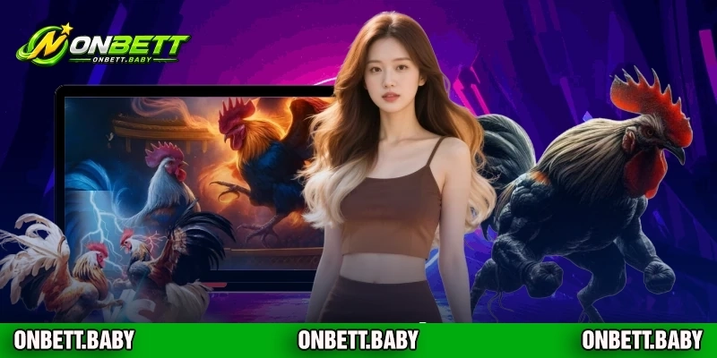 Cách Xem Tướng Gà Đá Chuẩn Xác Tại Sảnh Đá Gà ONBET Uy Tín