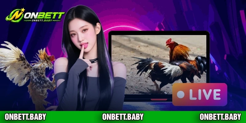 Chi tiết ưu đãi dành riêng cho người chơi ONBET