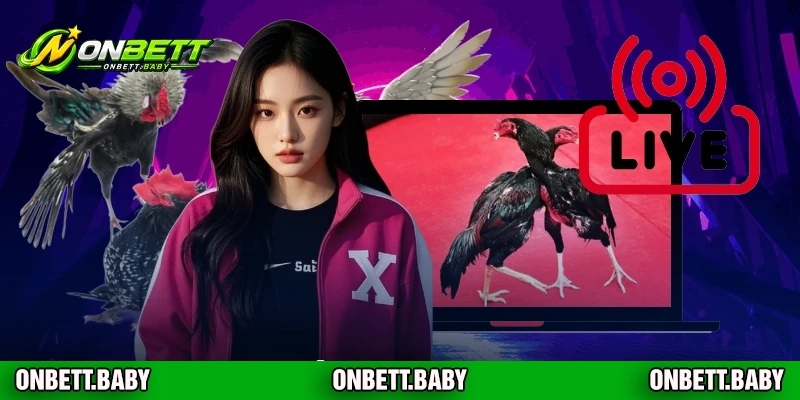 Điểm nổi bật sảnh cách xem tướng gà đá nổi trội