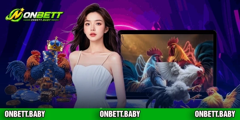 Điểm nổi bật sảnh đá gà trực tiếp đáng chú ý