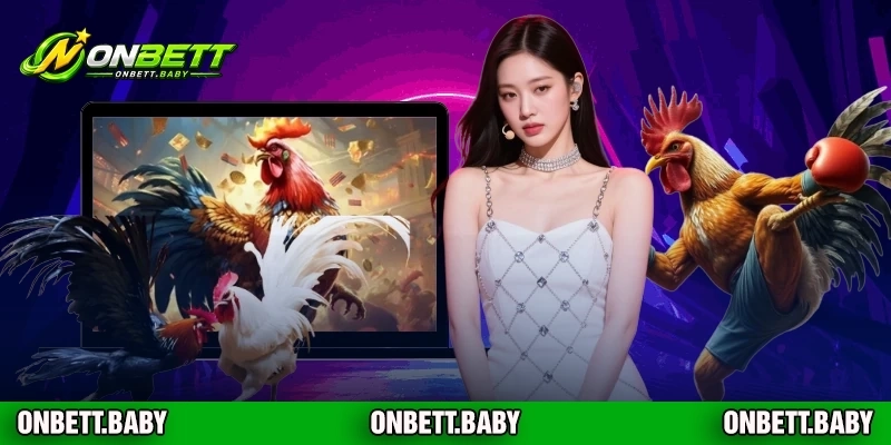 Gà Chọi Ô Chân Xanh - Nhập Môn Bài Truyền Thống Trực Tuyến