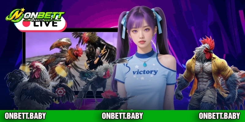 Những điểm nổi bật của sảnh đá gà tại ONBET